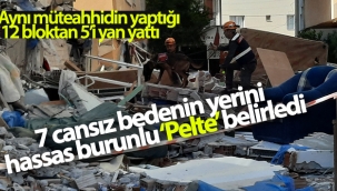 Yan yatan 3 binadaki 7 cansız bedenin yerini hassas burunlu 'Pelte' belirledi