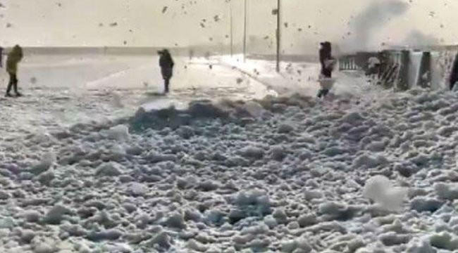 Fransa'da deniz köpüğü sahile vurdu