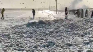 Fransa’da deniz köpüğü sahile vurdu