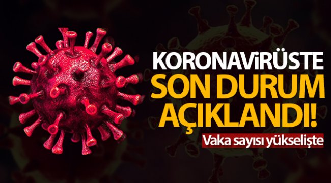 Türkiye'de son 24 saatte 8.103 koronavirüs vakası tespit edildi