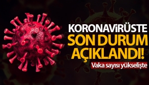 Türkiye'de son 24 saatte 8.103 koronavirüs vakası tespit edildi