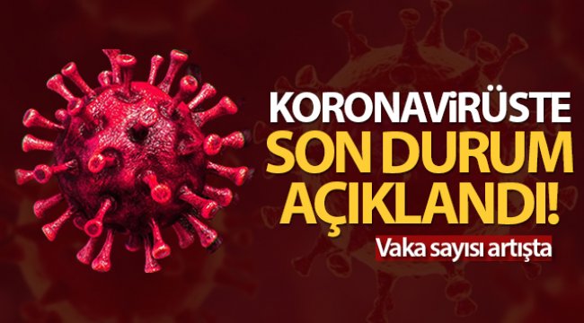 Türkiye'de son 24 saatte 9.572 koronavirüs vakası tespit edildi