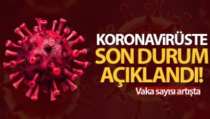 Türkiye'de son 24 saatte 9.572 koronavirüs vakası tespit edildi