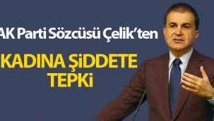 AK Parti Sözcüsü Çelik’ten kadına şiddete tepki