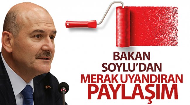 Bakan Soylu'dan merak uyandıran paylaşım