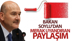Bakan Soylu'dan merak uyandıran paylaşım