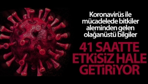Korana virüsüne karşı kritik çözüm
