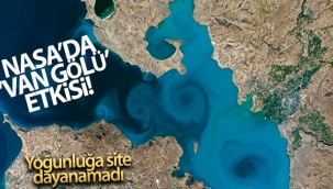 Van Gölü'ne oy yağmuru: NASA'nın sitesi çöktü