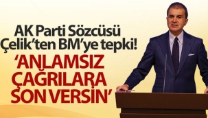 AK Parti Sözcüsü Çelik'ten BM'ye tepki!