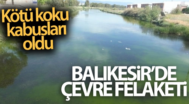 Balıkesir'de çevre felaketi