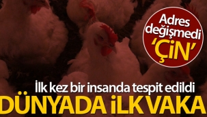 Çin'de ilk kez bir insana H10N3 kuş gribi tanısı kondu