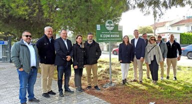 'Sakız Ağacım Çeşme' projesiyle sakız ağacı sayısı hızla artıyor
