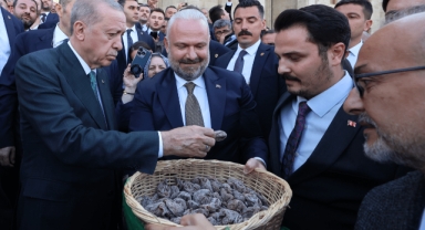 Başkan Pehlivan’dan Cumhurbaşkanı Erdoğan’a incir ikramı