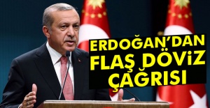 Cumhurbaşkanı Erdoğan'dan döviz çağrısı