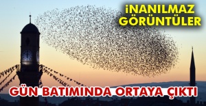İnanılmaz görüntüler! Gün batımında ortaya çıktı