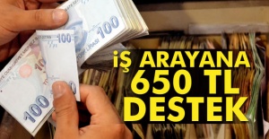 İş arayana 650 TL destek