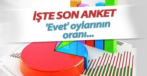 İşte Referandum anketinde son durum!