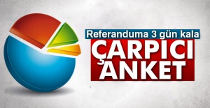 İşte son referandum anketi