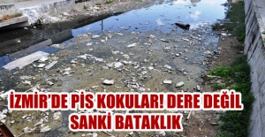 İzmir'de Pis Kokular! Dere Değil Sanki Bataklık