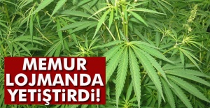 Memur lojmanda yetiştirdi!