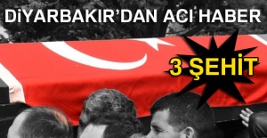 Lice’de yaralanan güvenlik görevlilerinden 3’ü şehit oldu