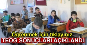 TEOG sonuçları açıklandı