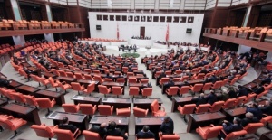 Zeytinlik düzenlemesi tasarıdan çıkarıldı
