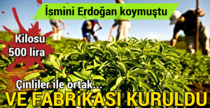 Adını Erdoğan koymuştu, fabrikası Rize'de açıldı