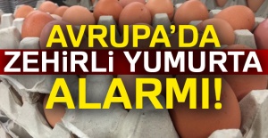 Avrupa'da zehirli yumurta alarmı