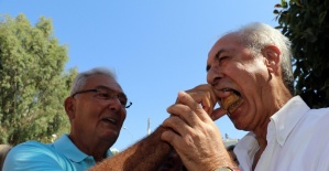 Baykal’dan