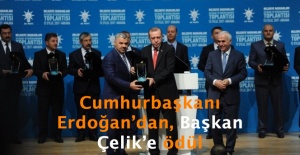 Cumhurbaşkanı Erdoğan'dan, Başkan Çelik'e ödül
