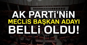 AK Parti'nin Meclis başkan adayı belli oldu