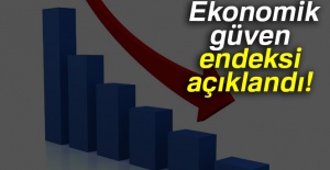 Ekonomik güven endeksi Aralık'ta düştü