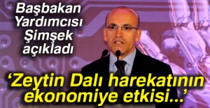 Mehmet Şimşek: 'Operasyonun ekonomiye etkisi son derece sınırlı'