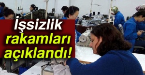 Son dakika: İşsizlik rakamları açıklandı!
