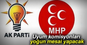 Uyum komisyonları yoğun mesai yapacak