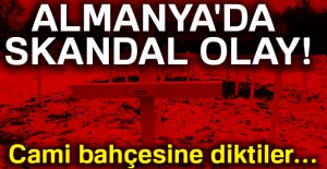 Almanya'da skandal olay! Cami bahçesine diktiler...