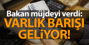 Bakan müjdeyi verdi! Varlık Barışı geliyor..