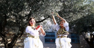 Akhisar'da Dünya Zeytin Günü Buluşması