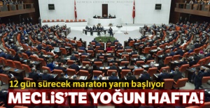 Meclis'te yoğun hafta! 12 gün sürecek maraton yarın başlıyor