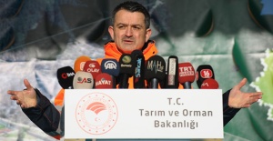 'Yanan ormanlara villa yapılamaz'