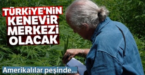 Türkiye'nin kenevir merkezi olacak