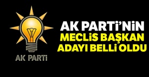 AK Parti'nin Meclis Başkan adayı belli oldu !