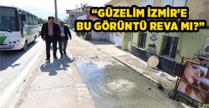 Zeybekci gözlerine inanamadı
