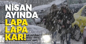 Ardahan'a lapa lapa kar yağıyor