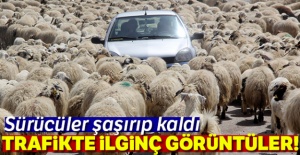 Sürücüler şaşıp kaldı