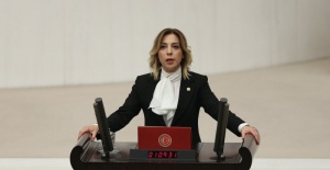Milletvekili Gökcan: