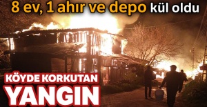 Köyde çıkan yangında 8 ev, 1 ahır ve depo kül oldu
