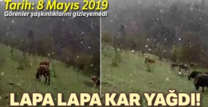 Mayıs ayında lapa lapa kar yağdı