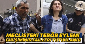 Meclisteki terör eylemi girişiminin failleri tutuklandı